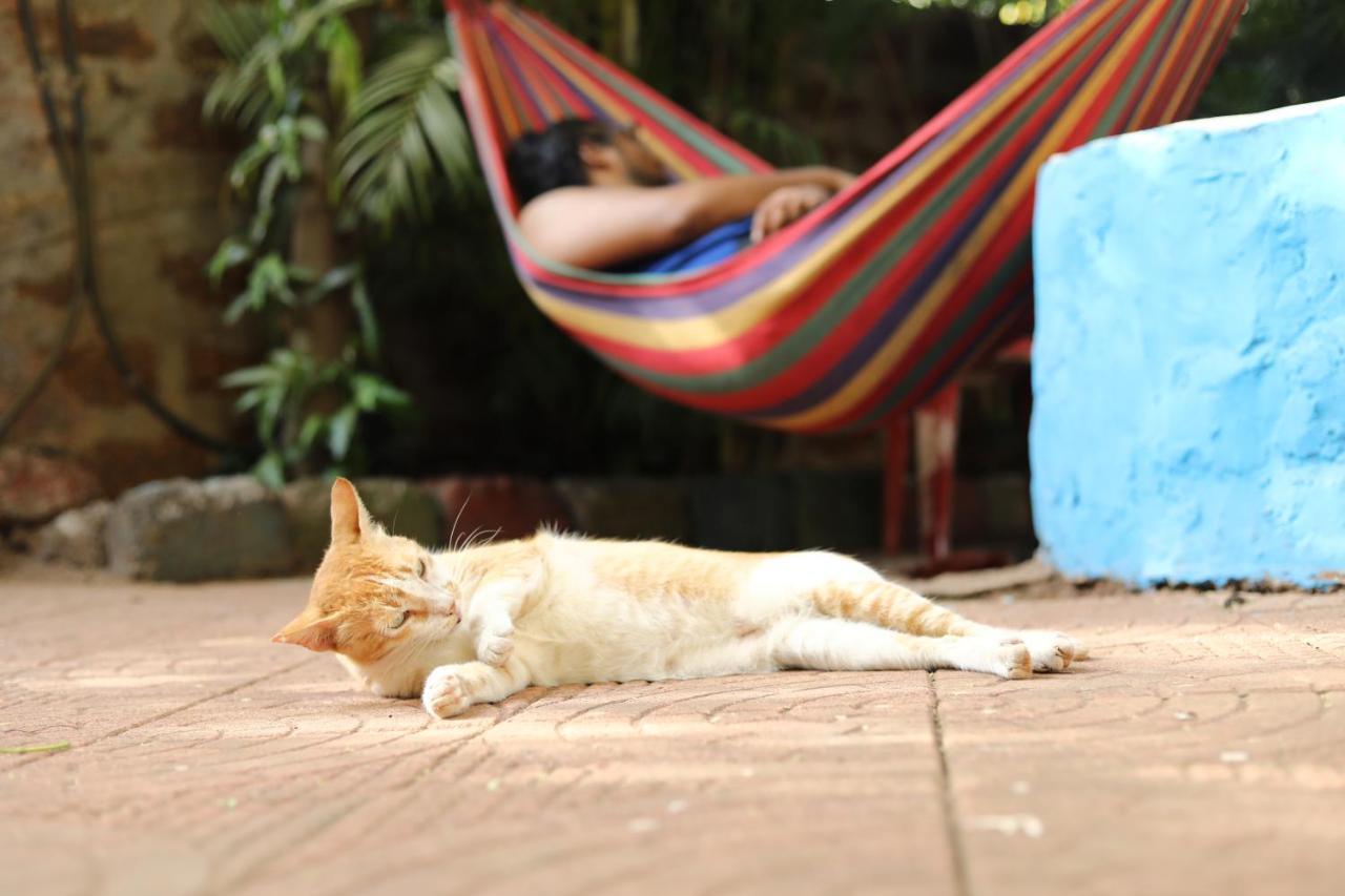 אנג'ונה Goanvibes Hostel מראה חיצוני תמונה